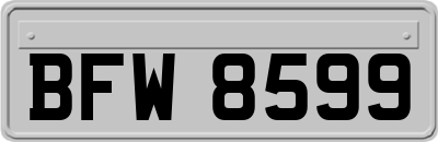 BFW8599