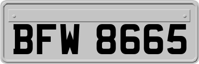 BFW8665