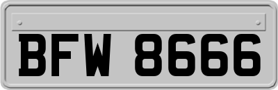 BFW8666