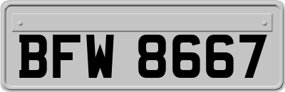 BFW8667