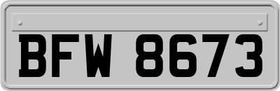 BFW8673