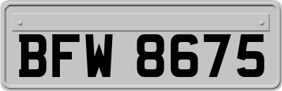 BFW8675