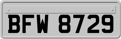BFW8729