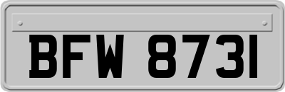 BFW8731