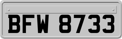 BFW8733