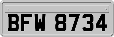 BFW8734
