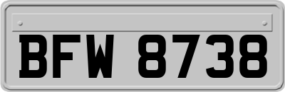 BFW8738