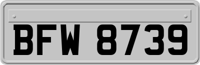 BFW8739