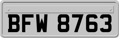 BFW8763