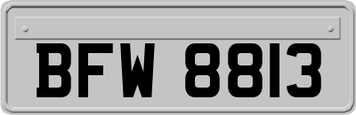 BFW8813