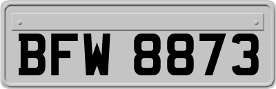 BFW8873