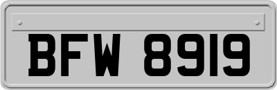 BFW8919