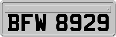 BFW8929