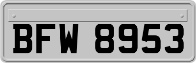 BFW8953