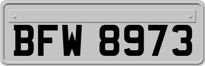 BFW8973