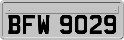 BFW9029