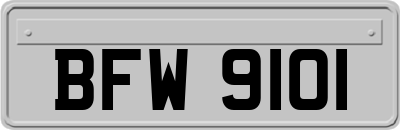 BFW9101