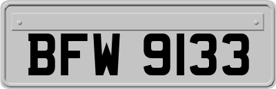 BFW9133
