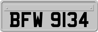 BFW9134