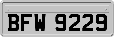 BFW9229