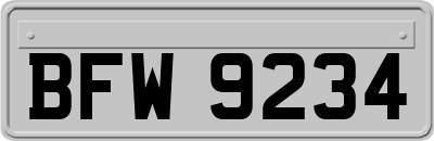 BFW9234