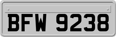 BFW9238