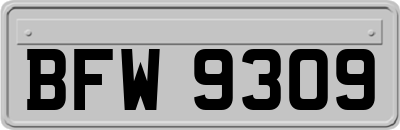 BFW9309