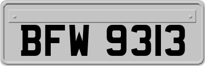 BFW9313