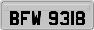 BFW9318
