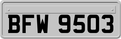 BFW9503