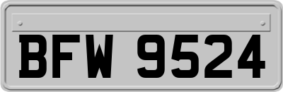 BFW9524