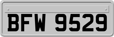 BFW9529