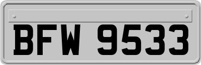 BFW9533