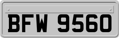 BFW9560