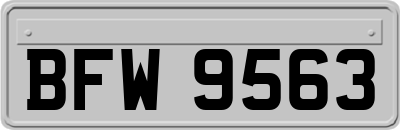 BFW9563