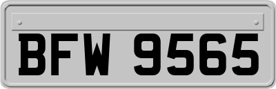 BFW9565