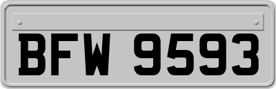 BFW9593