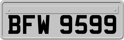 BFW9599