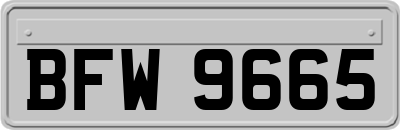 BFW9665