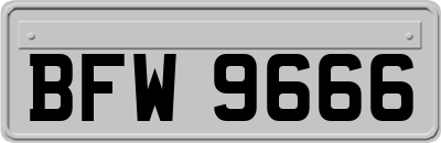 BFW9666