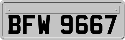 BFW9667