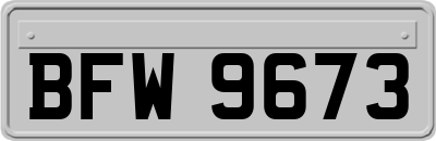 BFW9673