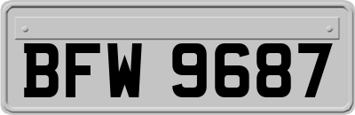 BFW9687