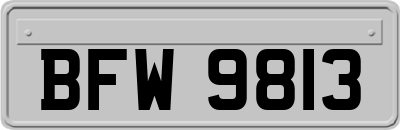 BFW9813