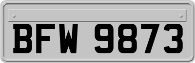 BFW9873