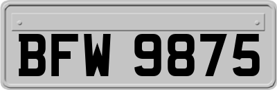BFW9875