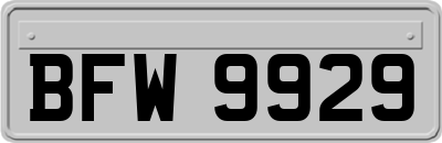 BFW9929