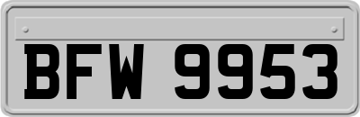 BFW9953