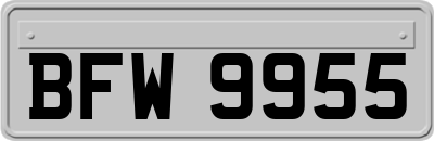 BFW9955
