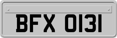 BFX0131